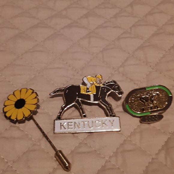 Racetrack horse  pin - Picture 1 of 5